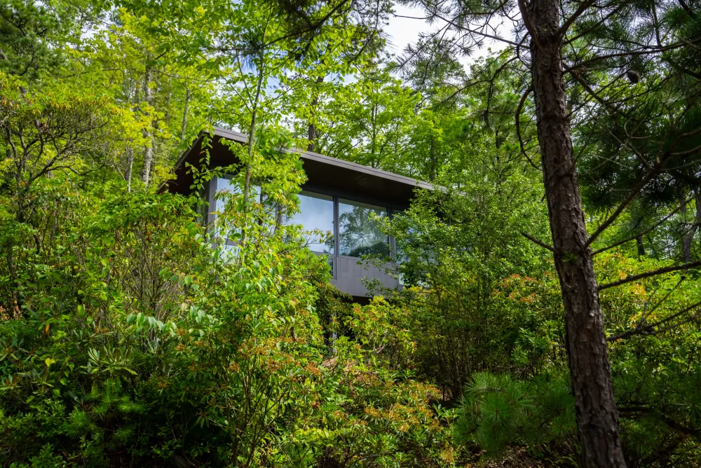 Cabin Exterior